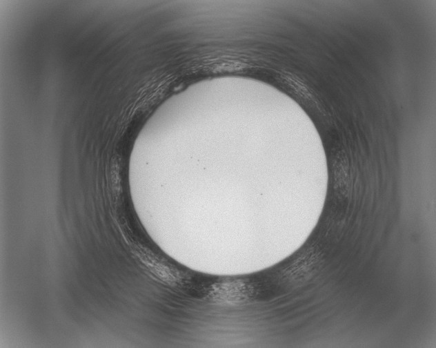 X0000051250362200507082156