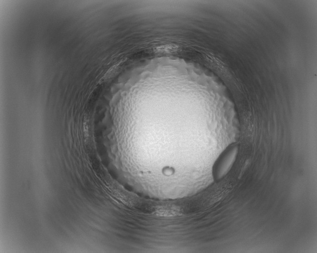 X0000051250363200507082156