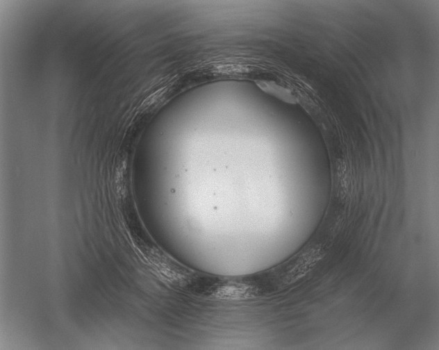 X0000051250364200507082156