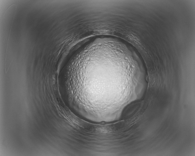 X0000051250365200507082156