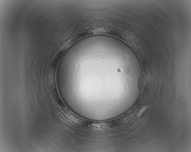 X0000051250367200507082156