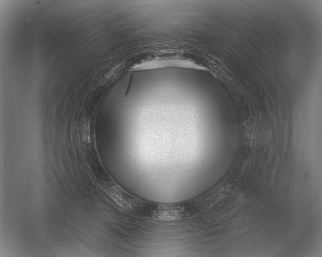 X0000051250368200507082156