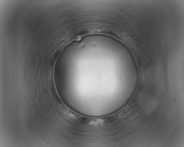 X0000051250369200507082156