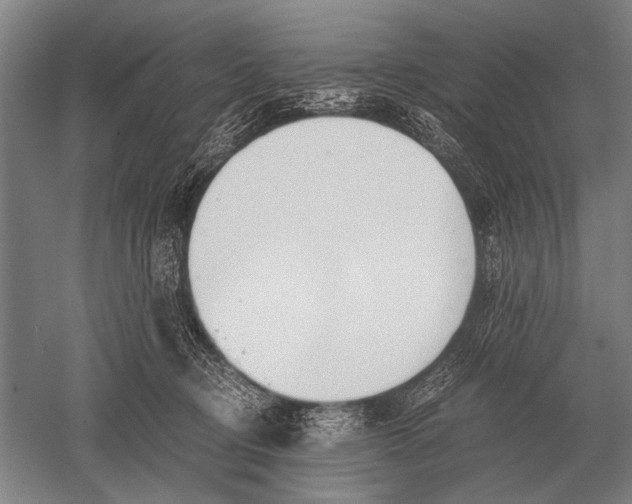 X0000051250370200507082156