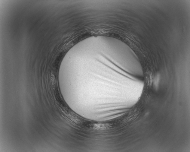 X0000051250371200507082156