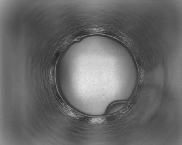 X0000051250373200507082156