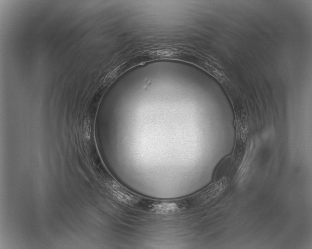 X0000051250374200507082156