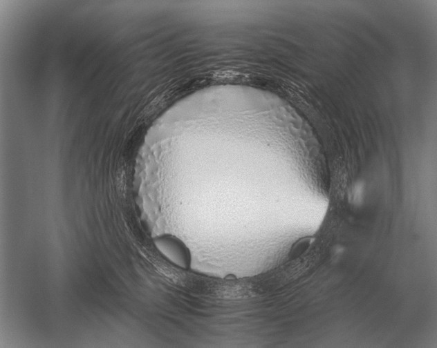 X0000051250375200507082156