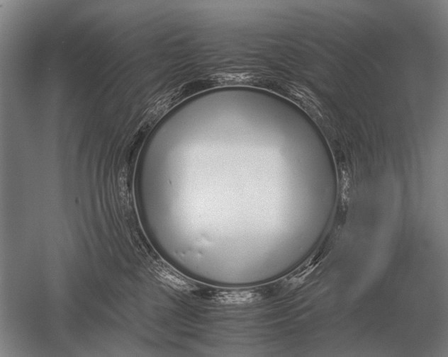 X0000051250377200507082156