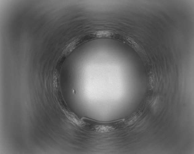 X0000051250379200507082156