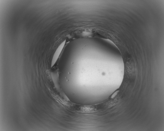 X0000051250380200507082156