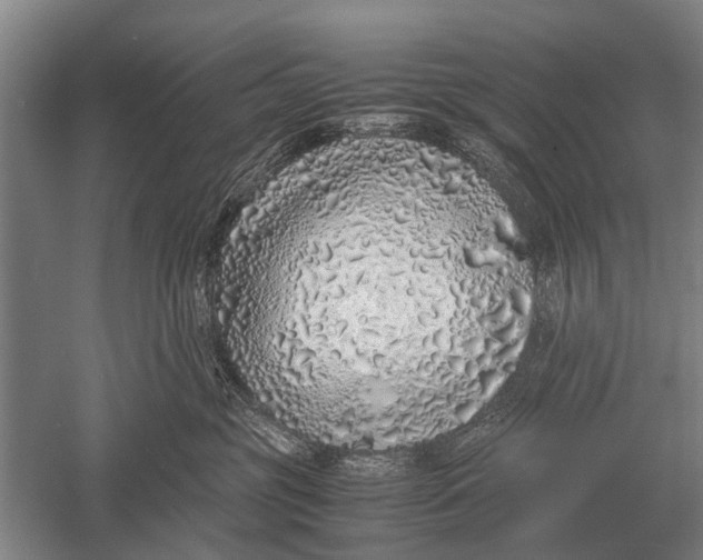 X0000051250381200507082156