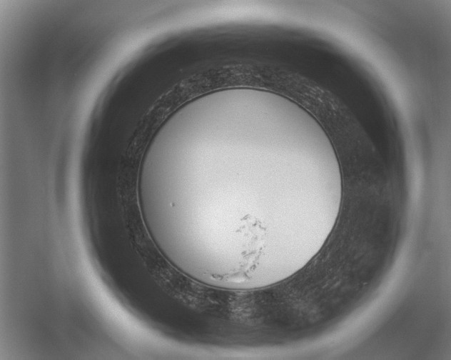 X0000051250382200507082156