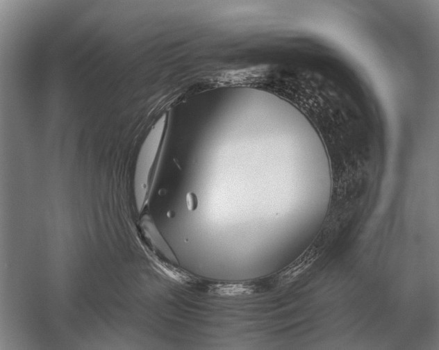 X0000051250383200507082156