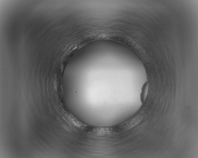 X0000051250384200507082157