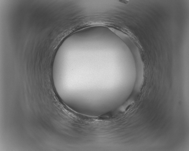 X0000051250385200507082156