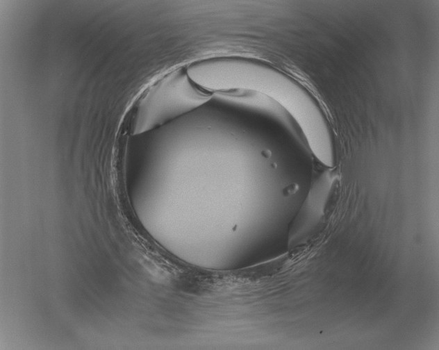 X0000051250387200507082156