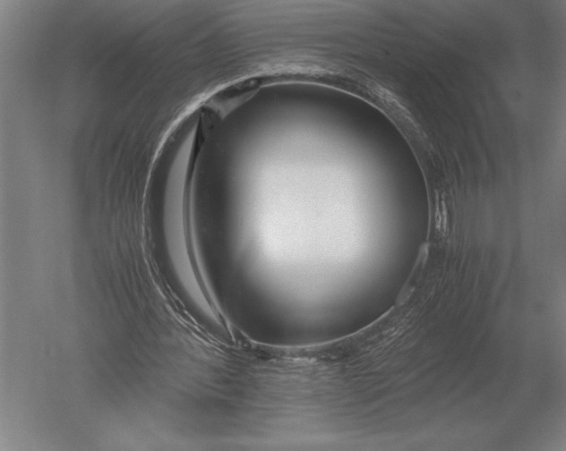 X0000051250388200507082156