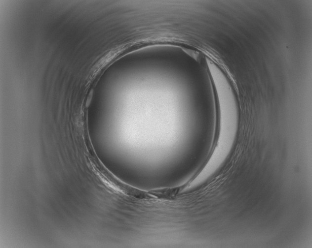 X0000051250389200507082156