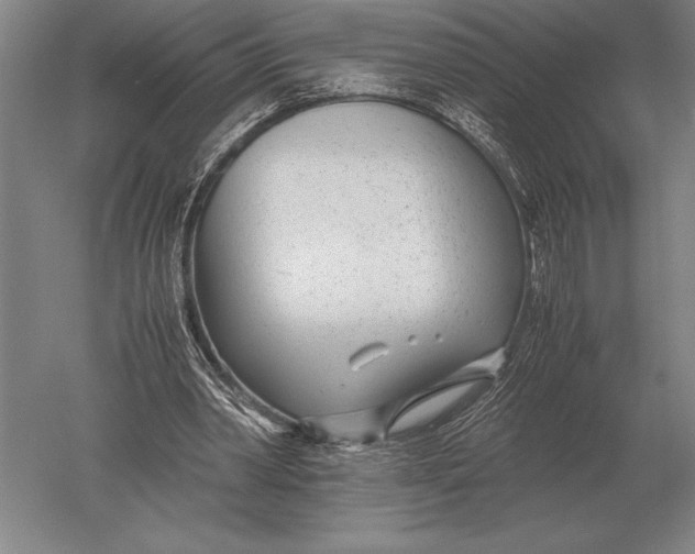 X0000051250390200507082156