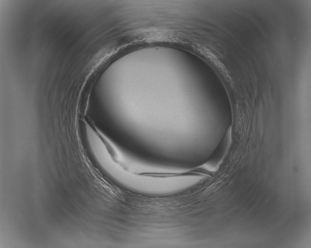 X0000051250391200507082156