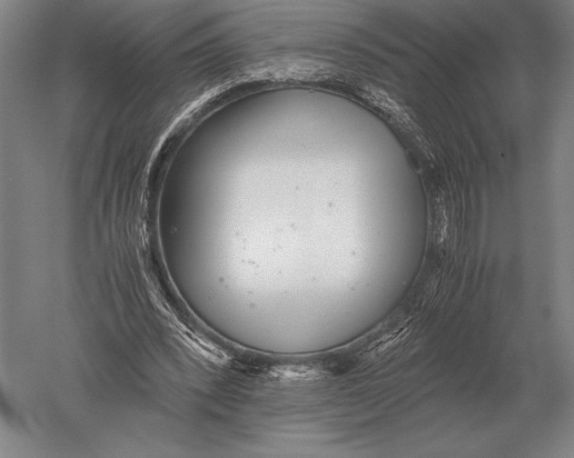 X0000051250392200507082156