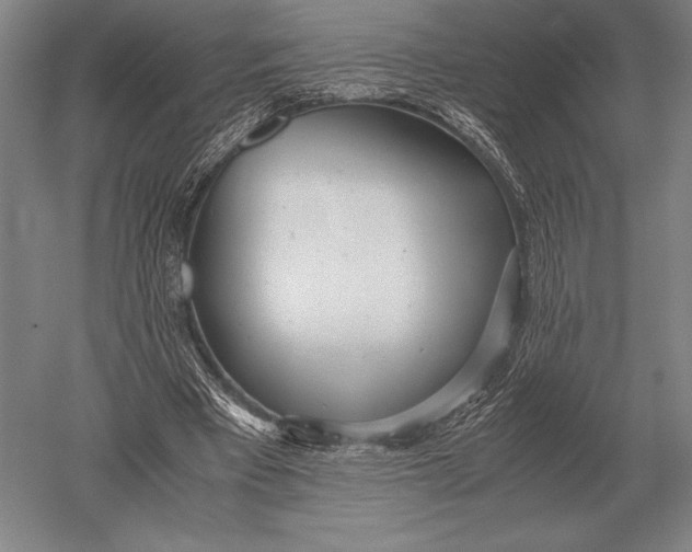 X0000051250393200507082156