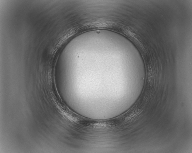 X0000051250394200507082156