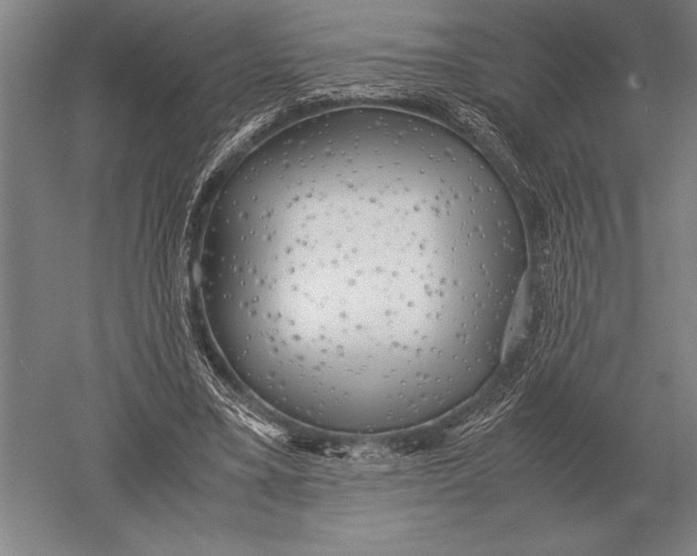 X0000051250395200507082156