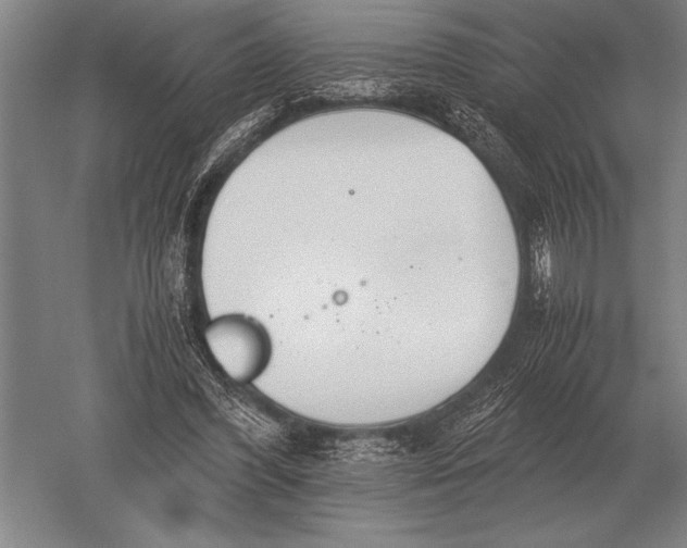 X0000051250396200507082156