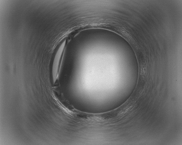 X0000051250397200507082155