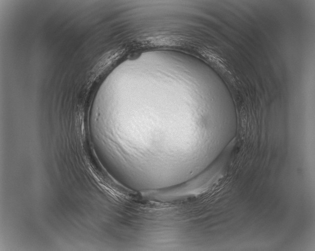 X0000051250398200507082155