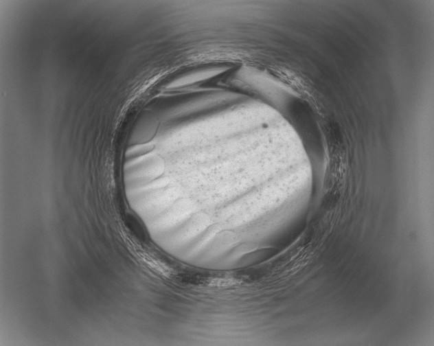 X0000051250399200507082155