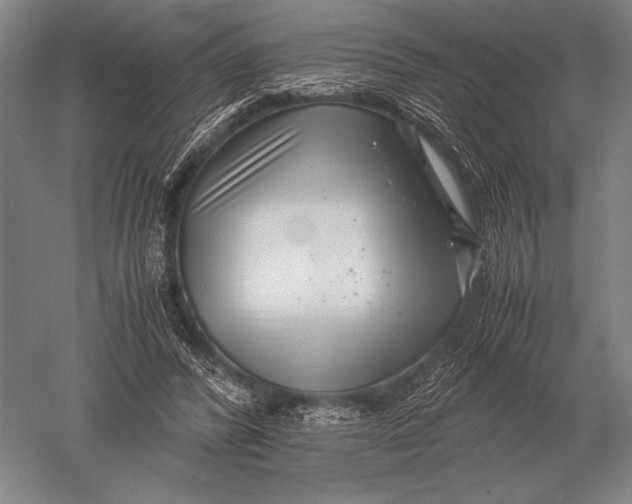 X0000051250400200507082155