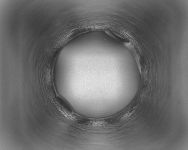 X0000051250401200507082155