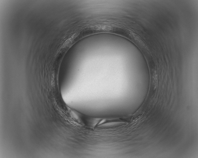 X0000051250403200507082155