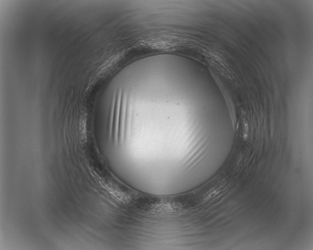 X0000051250404200507082155