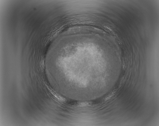 X0000051250405200507082155