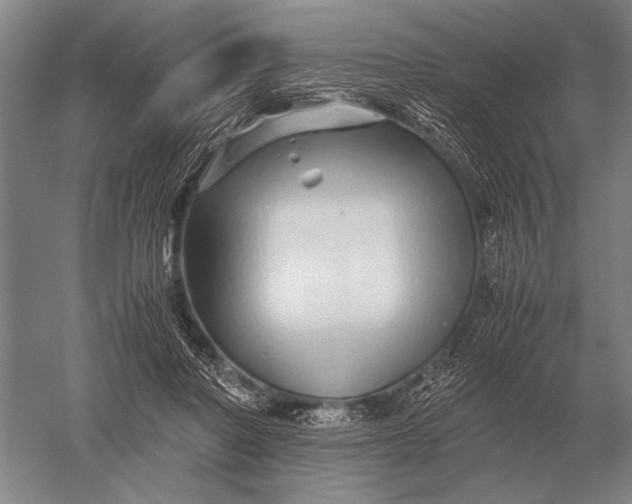 X0000051250406200507082155