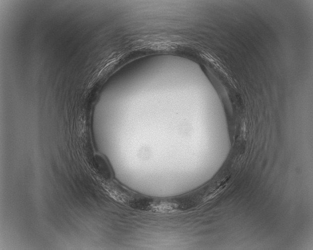 X0000051250407200507082155