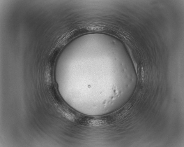 X0000051250408200507082155