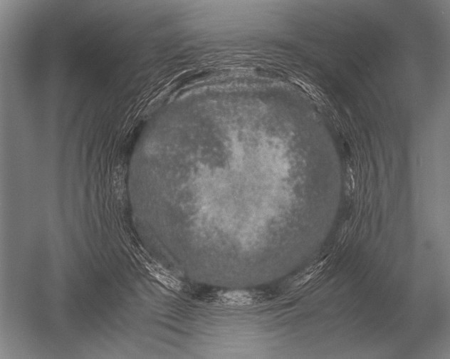 X0000051250409200507082155