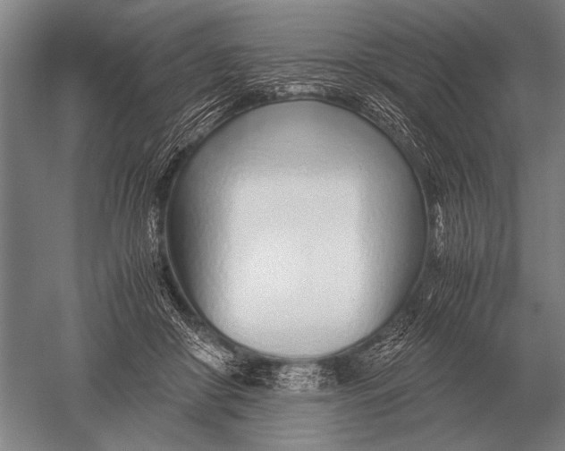 X0000051250410200507082155