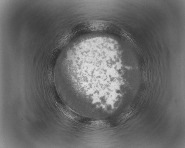 X0000051250411200507082155