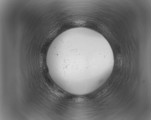 X0000051250412200507082155