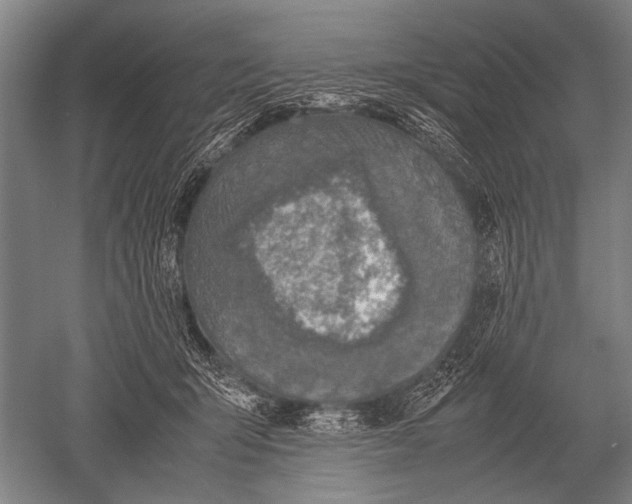 X0000051250415200507082155