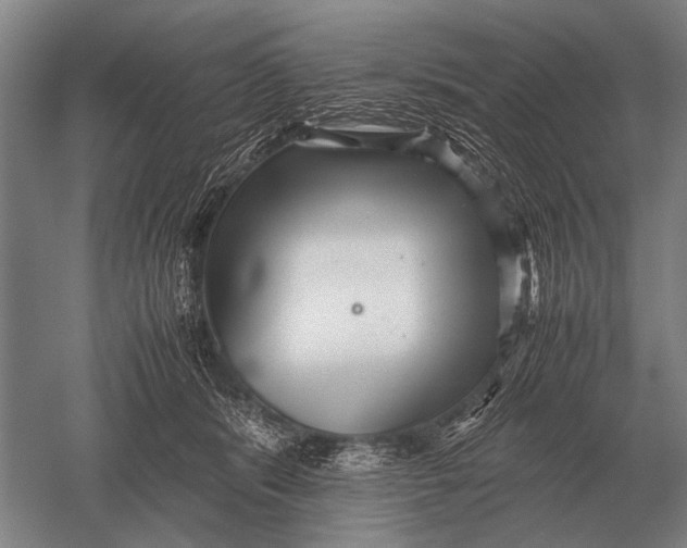 X0000051250416200507082155