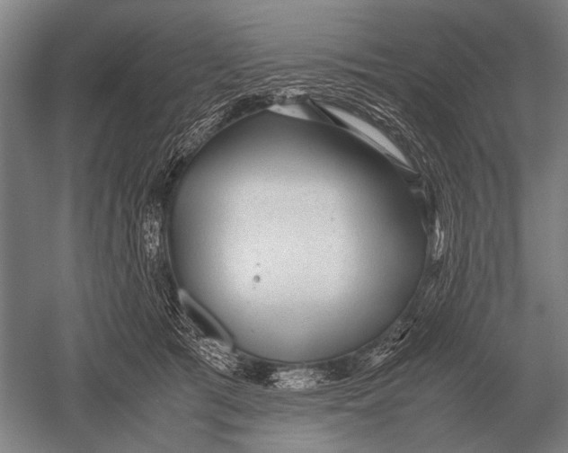 X0000051250417200507082155