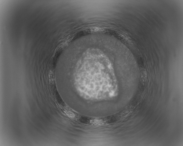 X0000051250419200507082155