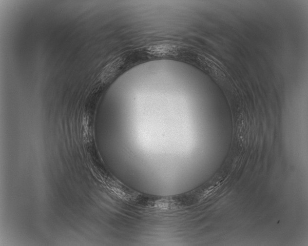 X0000051250420200507082155